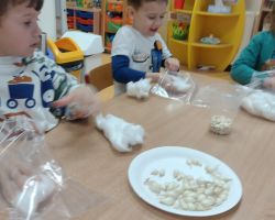 dzieci podczas zakładania hodowli fasoli