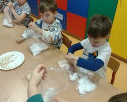 dzieci podczas zakładania hodowli fasoli