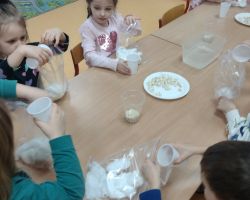 dzieci podczas zakładania hodowli fasoli