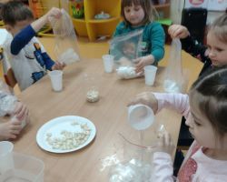 dzieci podczas zakładania hodowli fasoli