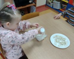 dzieci podczas zakładania hodowli fasoli