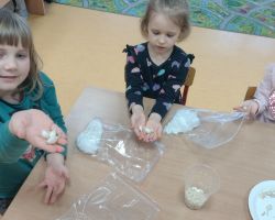 dzieci podczas zakładania hodowli fasoli