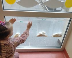 dzieci podczas zakładania hodowli fasoli