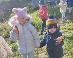 zdjęcia dzieci podczas wycieczki do gospodarstwa wiejskiego