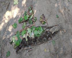 dzieci podczas warsztatów w skłudzewie