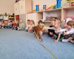 dzieci podczas zajęć z dogoterapii