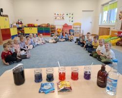 dzieci podczas zajęć i eksperymentów przyrodniczych