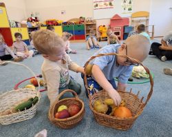 dzieci podczas zajęć i eksperymentów przyrodniczych