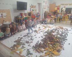 dzieci podczas zajęć sensorycznych, badają dary jesieni
