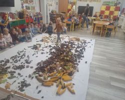 dzieci podczas zajęć sensorycznych, badają dary jesieni