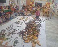 dzieci podczas zajęć sensorycznych, badają dary jesieni