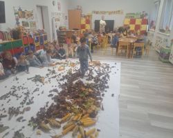 dzieci podczas zajęć sensorycznych, badają dary jesieni