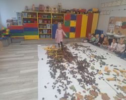 dzieci podczas zajęć sensorycznych, badają dary jesieni