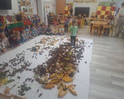 dzieci podczas zajęć sensorycznych, badają dary jesieni