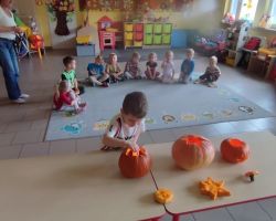 dzieci podczas zajęć przyrodniczych z bibliotekarką