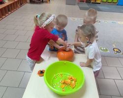 dzieci podczas zajęć przyrodniczych z bibliotekarką