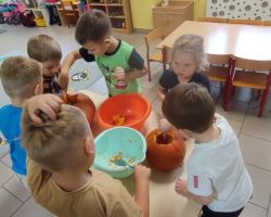 dzieci podczas zajęć przyrodniczych z bibliotekarką