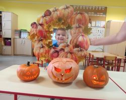 dzieci podczas zajęć przyrodniczych z bibliotekarką