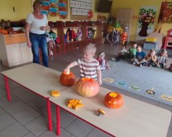 dzieci podczas zajęć przyrodniczych z bibliotekarką