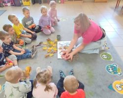 dzieci podczas zajęć przyrodniczych z bibliotekarką