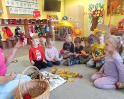 dzieci podczas zajęć przyrodniczych z bibliotekarką