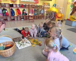 dzieci podczas zajęć przyrodniczych z bibliotekarką