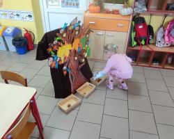 dzieci podczas zajęć przyrodniczych z bibliotekarką