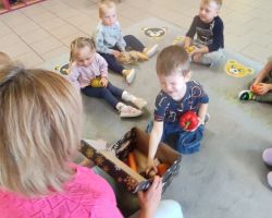 dzieci podczas zajęć przyrodniczych z bibliotekarką