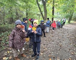 dzieci podczas różnych aktywności