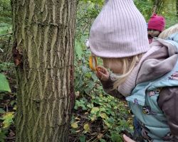 dzieci podczas różnych aktywności