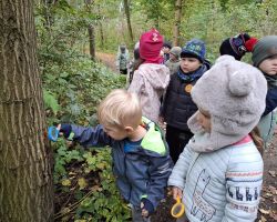 dzieci podczas różnych aktywności