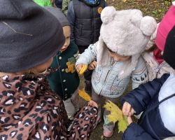 dzieci podczas różnych aktywności