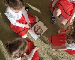 dzieci i dorośli podczas uroczystości pasowania na przedszkolaka i starszaka