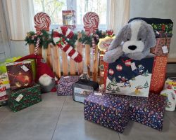 dzieci z darami na akcję świąteczna paczka