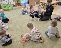 dzieci, teraputa i psy podczas zajęć dogoterapii w przedszkolu