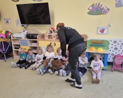 dzieci, teraputa i psy podczas zajęć dogoterapii w przedszkolu