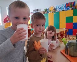 Dzieci samodzielnie przygotowują sok jabłkowy w sokowirówce