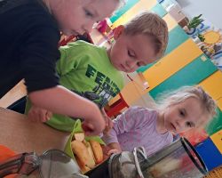 Dzieci samodzielnie przygotowują sok jabłkowy w sokowirówce