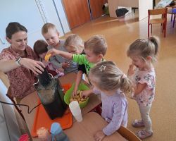 Dzieci samodzielnie przygotowują sok jabłkowy w sokowirówce