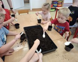 dzieci podczas różnych aktywności związanych z powitaniem wiosny