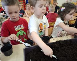 dzieci podczas różnych aktywności związanych z powitaniem wiosny