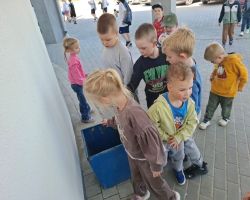 Przedszkolaki tworzą kreatywne prace plastyczne przy stolikach, a następnie sadzą drzewa w ogrodzie.