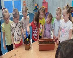 Przedszkolaki tworzą kreatywne prace plastyczne przy stolikach, a następnie sadzą drzewa w ogrodzie.