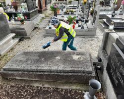 zdjęcia dzieci poczas akcji szkoła pamięta
