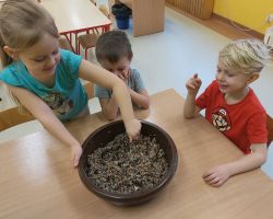 dzieci przygotowujące pokarm dla ptaków