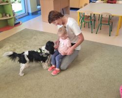 zdjęcia dzieci podczas dogoterapii